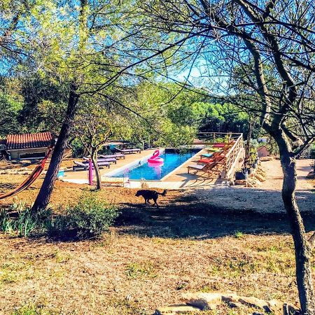 Dépend Atypiq Bohème,piscine chauffée toute l'année, jacuzzi,sauna,loisirs nature Le Beausset Extérieur photo