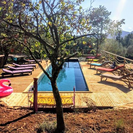 Dépend Atypiq Bohème,piscine chauffée toute l'année, jacuzzi,sauna,loisirs nature Le Beausset Extérieur photo