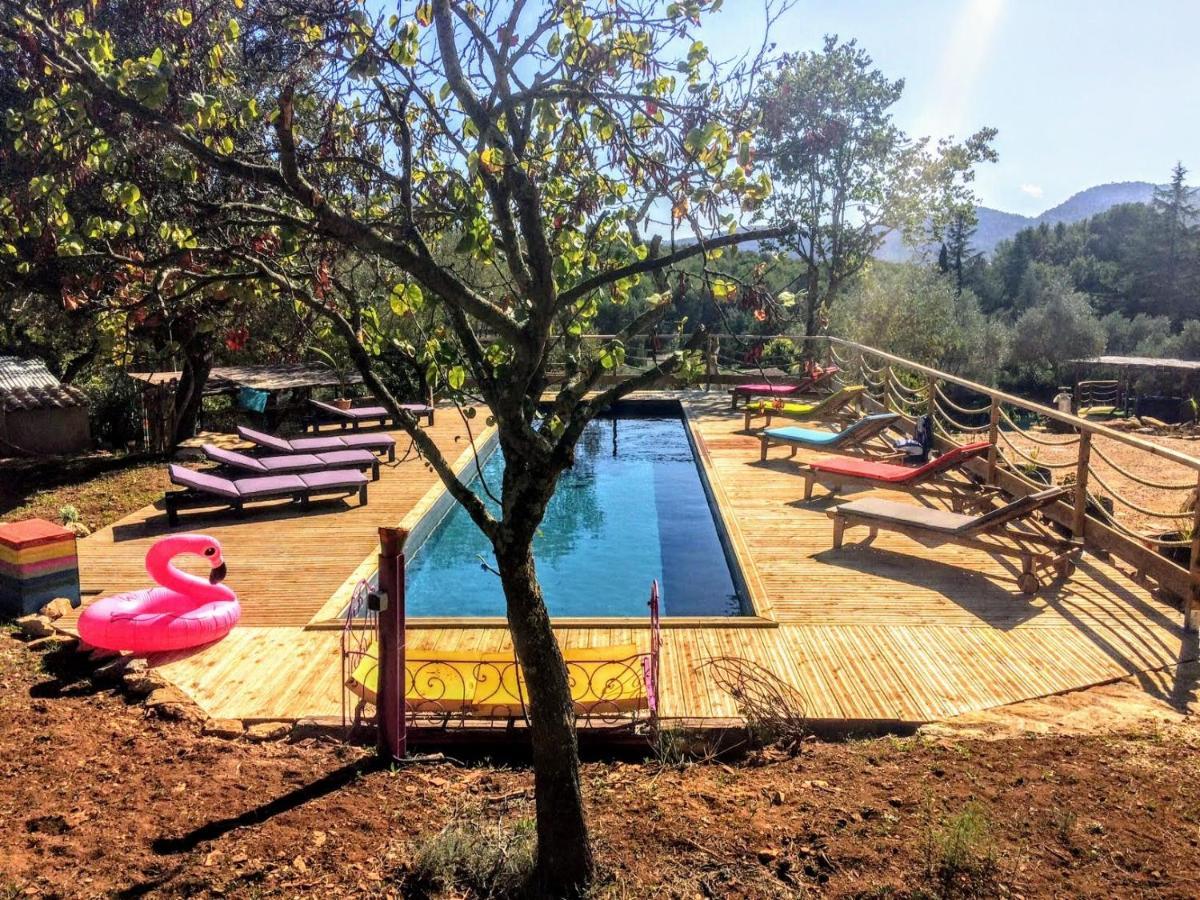 Dépend Atypiq Bohème,piscine chauffée toute l'année, jacuzzi,sauna,loisirs nature Le Beausset Extérieur photo